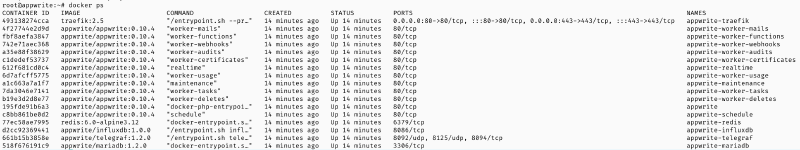 docker ps output