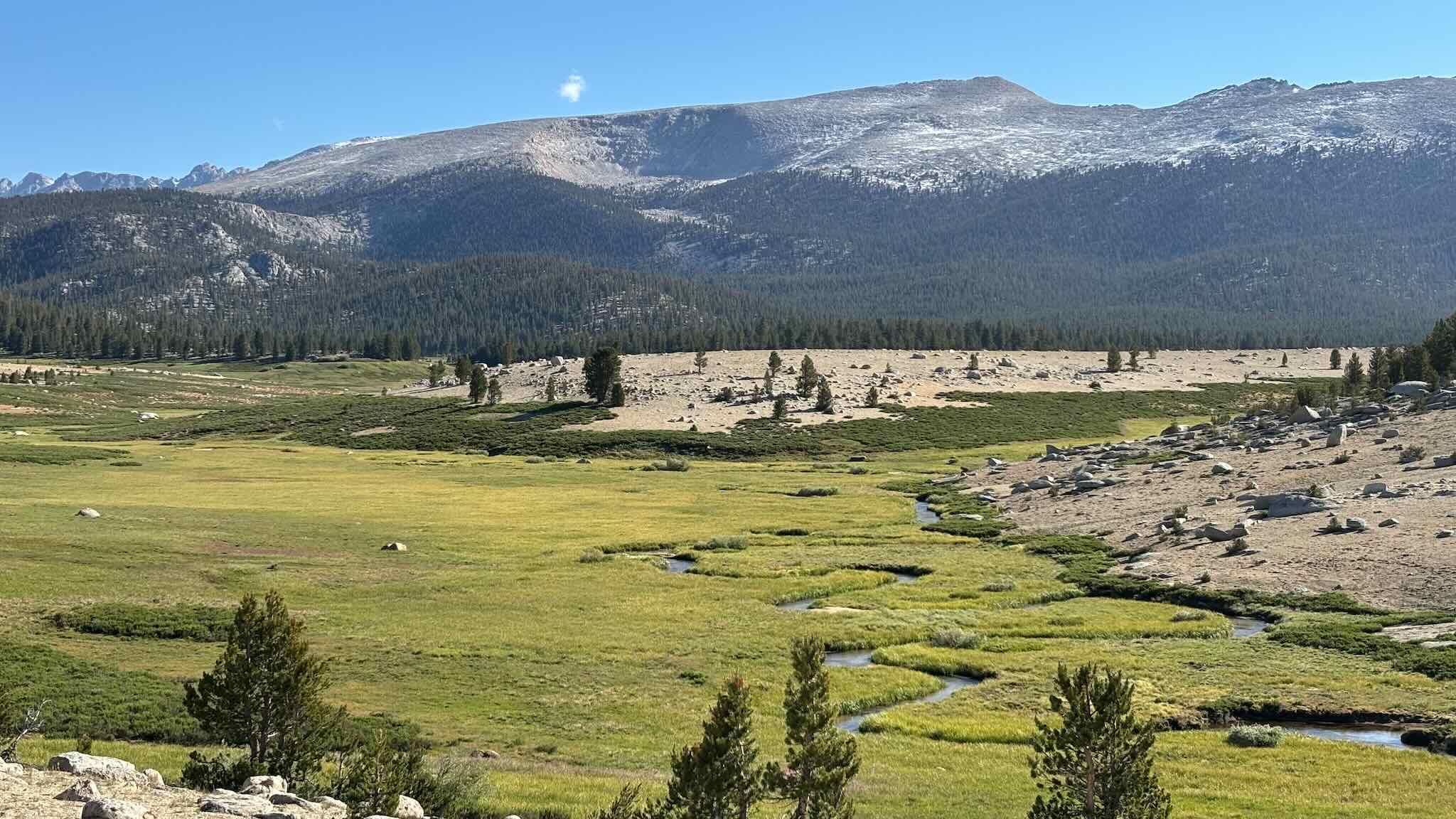 One last look at a beautiful GTW meadow.